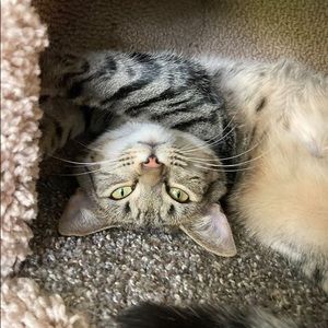 Meet your Posher, Indianna